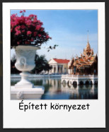 ptett krnyezet