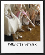 Pillanatfelvtelek
