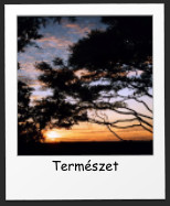 Termszet